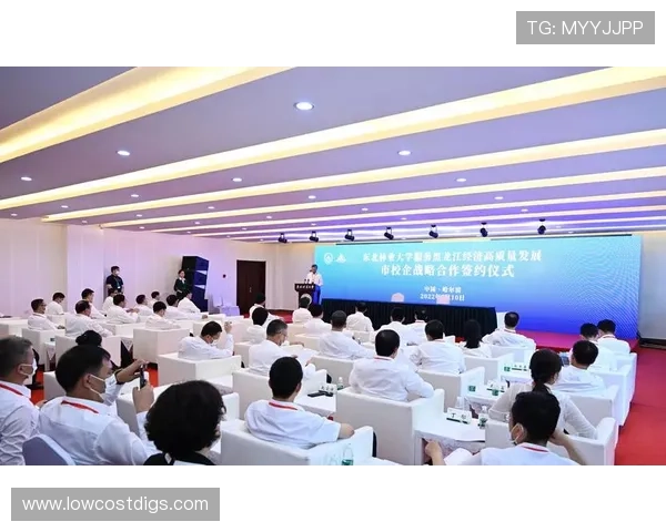 ld体育平台的安全保障措施全面解析,保障用户资金与个人信息安全